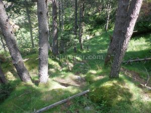 Inicio - Torrent de la Calç - Queralbs - RocJumper