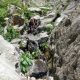 018 Torrent Balma Queralbs Rocjumper