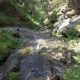 020 Torrent Calç Queralbs Rocjumper