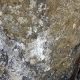 021 Torrent Balma Queralbs Rocjumper