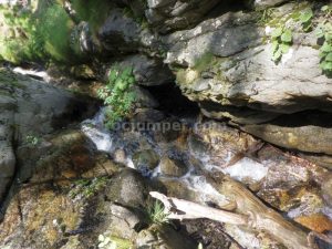 R2 - Torrent de la Calç - Queralbs - RocJumper