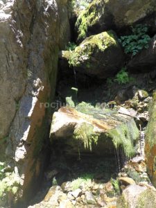 R3 - Torrent de la Balma - Queralbs - RocJumper