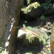 025 Torrent Balma Queralbs Rocjumper