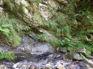 R3 - Torrent de la Calç - Queralbs - RocJumper