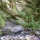 025 Torrent Calç Queralbs Rocjumper