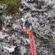 027 Torrent Calç Queralbs Rocjumper