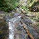 030 Torrent Calç Queralbs Rocjumper