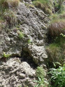 R5 - Torrent de la Balma - Queralbs - RocJumper