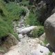 037 Torrent Balma Queralbs Rocjumper