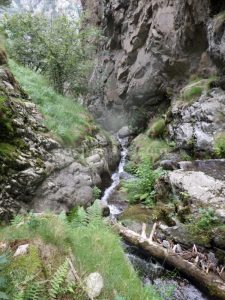 r10 - Torrent de la Calç - Queralbs - RocJumper