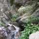 047 Torrent Calç Queralbs Rocjumper