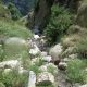 052 Torrent Balma Queralbs Rocjumper