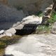 054 Torrent Balma Queralbs Rocjumper