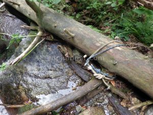 R9 - Torrent de la Calç - Queralbs - RocJumper