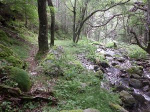 Retorno - Torrent de la Calç - Queralbs - RocJumper