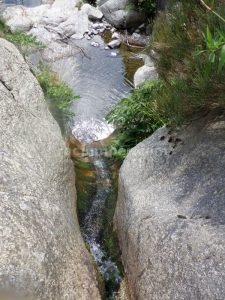 T3 - Torrent de la Balma - Queralbs - RocJumper