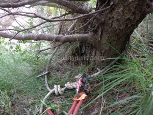 R9 - Torrent de la Balma - Queralbs - RocJumper