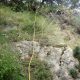 062 Torrent Balma Queralbs Rocjumper