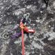 066 Torrent Balma Queralbs Rocjumper