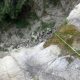068 Torrent Balma Queralbs Rocjumper