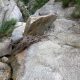 070 Torrent Balma Queralbs Rocjumper