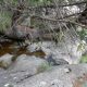 077 Torrent Balma Queralbs Rocjumper