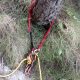 080 Torrent Balma Queralbs Rocjumper