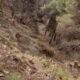 002 Barranco Castala Berja Rocjumper