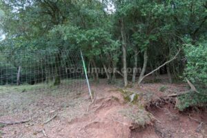 Valla - Barrancs Els Sots Feréstecs de Montmany - Montmany-Figaró - RocJumper