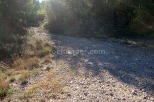 Pista Aproximación - Barranc de la Llosa o Torrent de Pixavaques - Sant Llorenç de Morunys - RocJumper