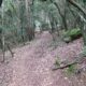 004 Barranc Sots Ferestecs Montmany Rocjumper