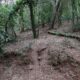 005 Barranc Sots Ferestecs Montmany Rocjumper
