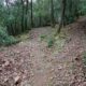 006 Barranc Sots Ferestecs Montmany Rocjumper