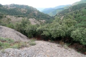 Bajada al torrente - Rasa de Torrenteller - Sant Llorenç de Morunys - RocJumper