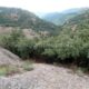 006 Barranco Rasa Torrenteller Sant Llorenc Morunys Rocjumper
