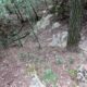 007 Barranc Sots Ferestecs Montmany Rocjumper