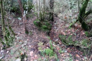 Inicio - Rasa de Torrenteller - Sant Llorenç de Morunys - RocJumper