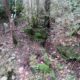 007 Barranco Rasa Torrenteller Sant Llorenc Morunys Rocjumper