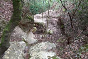 Inicio - Barrancs Els Sots Feréstecs de Montmany - Montmany-Figaró - RocJumper