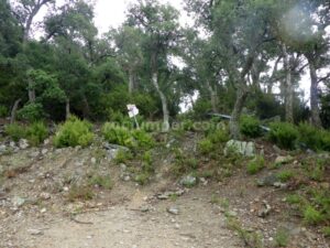 Sendero - Salt de Fitó - El Portús - RocJumper