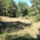 009 Barranc Llosa Pixavaques Sant Llorenc Morunys Rocjumper