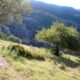 009 Barranco Buitreras Colmenar Rocjumper