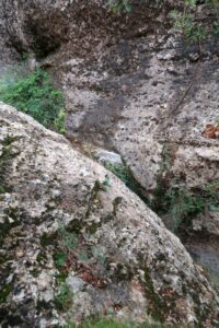 R1 - Rasa de Torrenteller - Sant Llorenç de Morunys - RocJumper