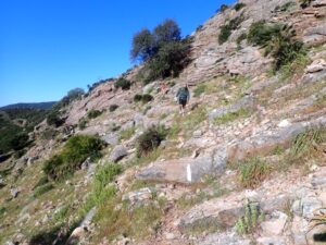 Marcas Blancas - Barranco Las Buitreras - El Colmenar - RocJumper