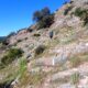 010 Barranco Buitreras Colmenar Rocjumper