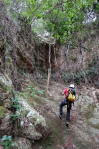 R1 - Torrent de l'Ullà - Barrancs Els Sots Feréstecs de Montmany - Montmany-Figaró - RocJumper