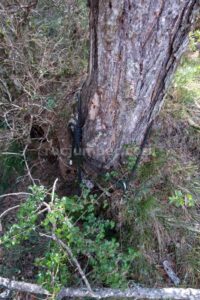R1 - Barranc de la Llosa o Torrent de Pixavaques - Sant Llorenç de Morunys - RocJumper