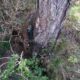 012 Barranc Llosa Pixavaques Sant Llorenc Morunys Rocjumper
