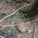 012 Barranc Sots Ferestecs Montmany Rocjumper