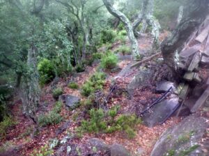 Bajada al Inicio - Salt de Fitó - El Portús - RocJumper